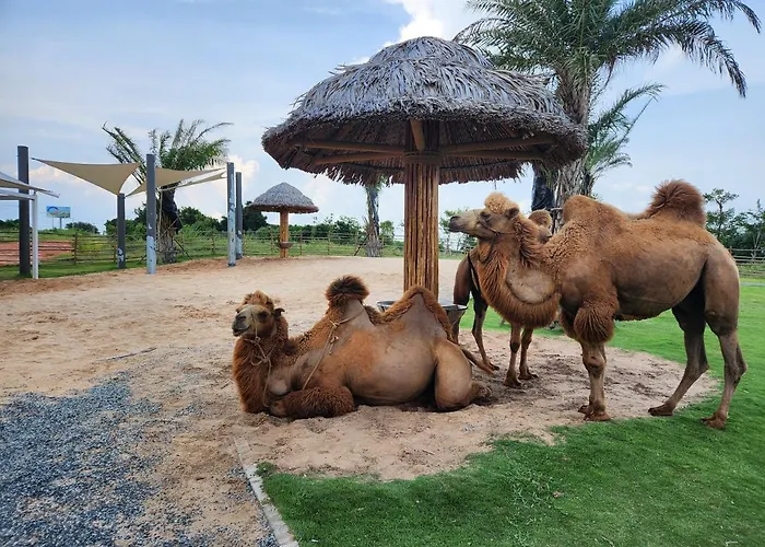 Florence - Novaworld Villa Phan Thiet